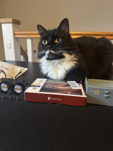 Quality assurance cat